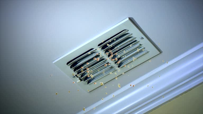 Best HVAC Duct Inspection Services  in Burlington, KS